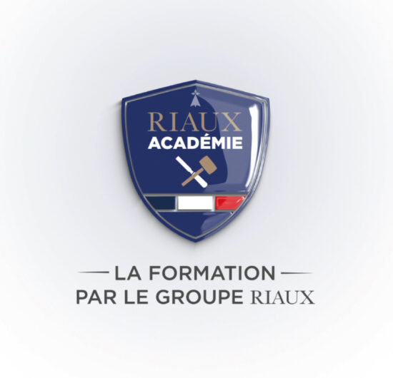 LOGO RIAUX ACADEMIE 3D_Plan de travail 1